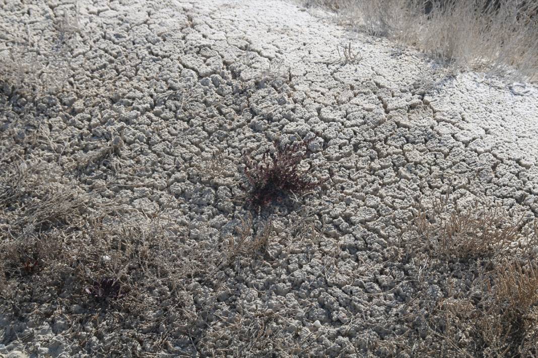 Tuz Gölü can çekişiyor! 130 bin futbol sahasından 13 bine düştü 5